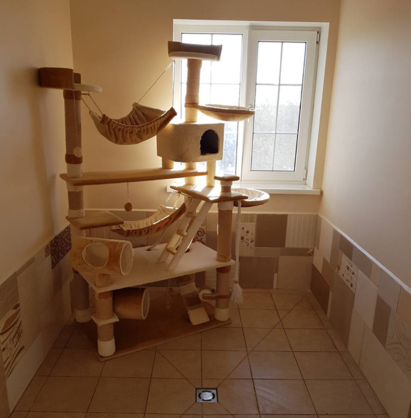 Второй этаж для котов